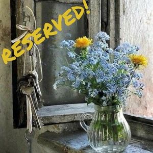 Angel Shares for Dear Shana